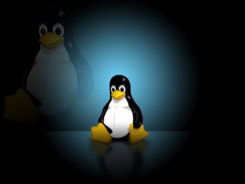 Linux常用命令大全