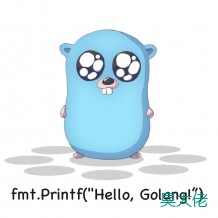 Go 标准库-fmt
