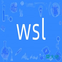 限制 WSL2 中 Vmmem 的内存占用