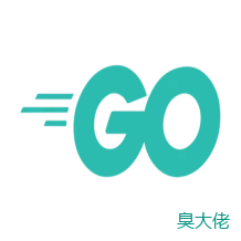 go 代码检测